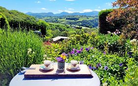 Ty Farm Retreat - Farmhouse Studio - Mountain View